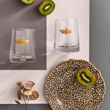 Creatures of Curiosity Glass Tumbler Set